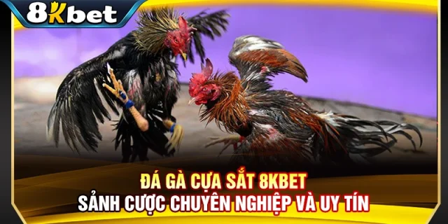 Đá Gà Cựa Sắt 8KBET - Sảnh Cược Chuyên Nghiệp Và Uy Tín
