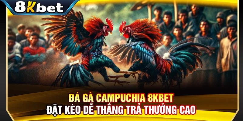 Đá Gà Campuchia 8KBET - Đặt Kèo Dễ Thắng Trả Thưởng Cao
