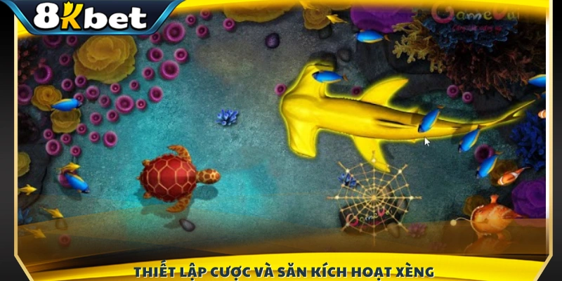 Chọn mức cược phù hợp và bắt đầu săn cá 