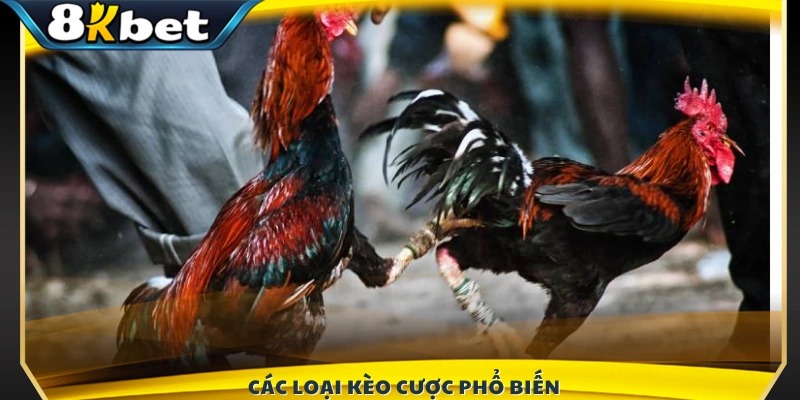 Các loại kèo cược được nhiều người chơi lựa chọn