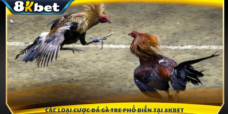 Danh mục kèo cược đa dạng trong các trận