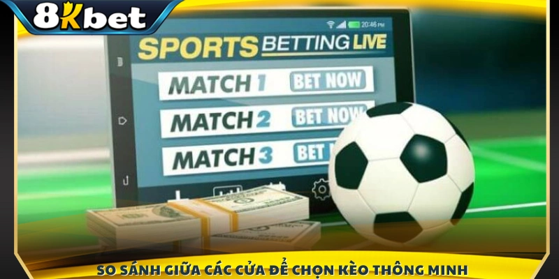 Đánh giá ưu và nhược điểm của từng cửa cược