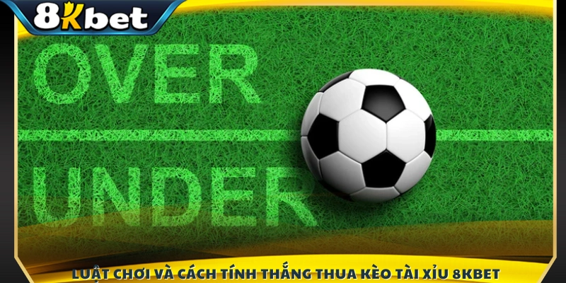 Hướng dẫn quy tắc đặt cược và cách xác định kết quả